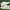 Starter Gravity patental advisory size  photo 5
