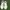 Starter Gravity patental advisory size  photo 4