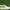 Starter Gravity patental advisory size  photo 1
