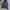 Adidas Sportswear Track jacket Pria navy photo 3