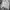 Adidas Sportswear Track jacket Pria white photo 4