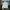 Adidas Sportswear Track jacket Pria white photo 2