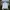 Adidas Sportswear Track Jacket Pria White