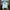 Adidas Sportswear Track jacket Pria white photo 1