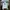 Adidas Sportswear Track Jacket Pria White