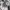 Adidas Sportswear Track jacket Pria white photo 8