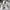 Adidas Sportswear Track jacket Pria white photo 5