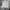 Adidas Sportswear Track jacket Pria white photo 3