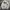 Adidas Sportswear Track jacket Pria white photo 6