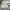 Nike Sportswear Windbreaker Pria white photo 5