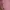 Thanksinsomnia Coquette Minimalist T-shirt Pria pink blue photo 3