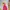 Vaude outdoor jacket photo 2