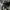 Vintage Y2K Sweatshirt Pria white photo 3