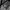 Vintage Y2K Sweatshirt Pria white photo 4