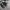 NB 550 FULL BLACK BNIB photo 3