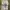 KAOS VINTAGE DISNEY 100 ERAS DISNEYLAND CASTLE WALT photo 1