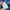 Puma Sportswear Track jacket Pria navy blue photo 6