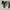 Rick Owens jumbo Laces grey photo 1