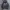 Abercrombie & Fitch Minimalist Hoody Pria gray photo 1