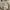 COACH Terry shoulder bag in signature canvas photo 8