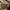 COACH Terry shoulder bag in signature canvas photo 7