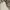 COACH Terry shoulder bag in signature canvas photo 4