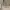 COACH Terry shoulder bag in signature canvas photo 1