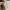 COACH Terry shoulder bag in signature canvas photo 5