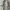 Beanpole Casual Harrington jacket Pria white cream photo 5