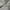 Adidas Yeezy White Original Size 42 Tag Mulus photo 2