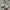 Adidas Yeezy White Original Size 42 Tag Mulus photo 6