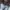 Adidas Yeezy White Original Size 42 Tag Mulus photo 4