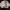 Vintage Minimalist Parka Pria white gray photo 1