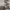 Vintage Minimalist Parka Pria white gray photo 2