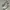 Nike Air Force 1 Triple White 100% Authentici Original