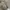 Nike Air Force 1 Triple White 100% Authentici Original photo 6