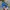 Adidas Casual Sneakers Pria blue photo 1