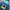 Pancoat Streetwear Suit Pria Multicolor Blue