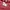 Pancoat Streetwear Suit Pria pink red photo 3