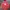 Pancoat Streetwear Suit Pria Pink Red