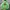 Pancoat Streetwear Sportswear Suit Pria Green