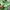 Pancoat Streetwear Sportswear Suit Pria green photo 4