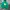 Pancoat Streetwear Sportswear Suit Pria multicolor green photo 1