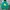 Pancoat Streetwear Sportswear Suit Pria Multicolor Green