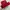 Make up bag red velvet estee lauder photo 5