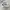 MLB Streetwear Sportswear Sneakers Wanita white photo 1