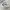 MLB Streetwear Sportswear Sneakers Wanita White