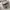 MLB Streetwear Sportswear Sneakers Wanita white photo 6