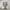 MLB Streetwear Sportswear Sneakers Wanita white photo 3