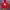 Pancoat Streetwear Sportswear Suit Pria red photo 1